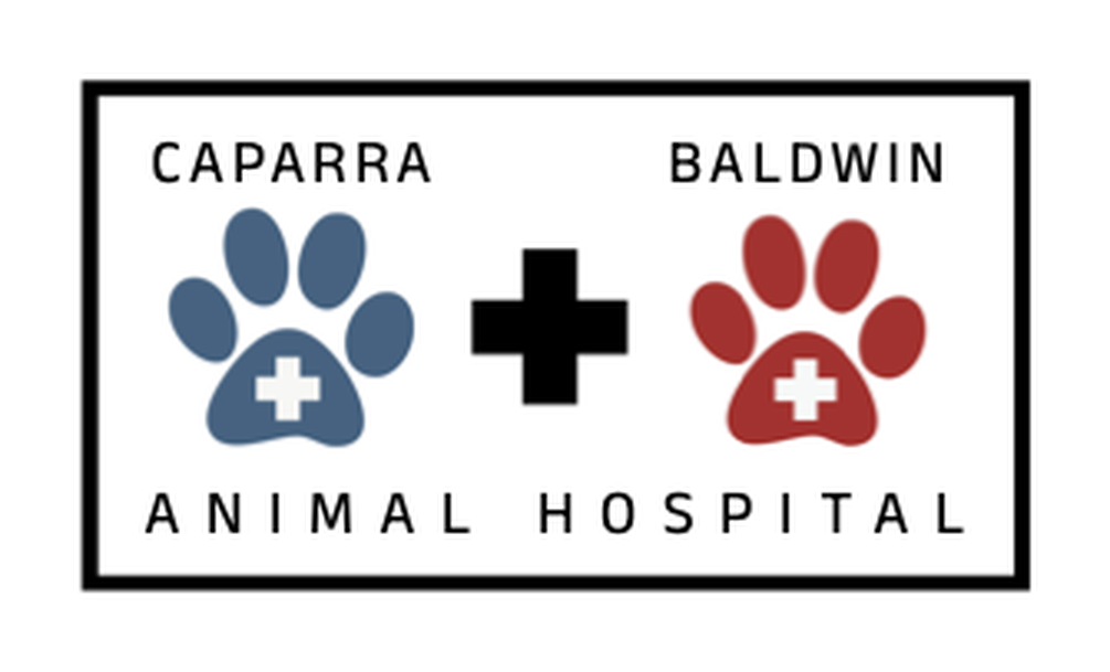 Logo de colaboración entre Caparra Animal Hospital y Baldwin Animal Hospital
