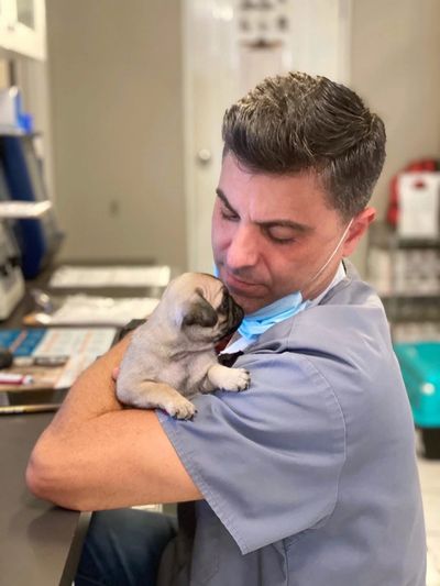Eduardo Diaz-Argimon, DVM