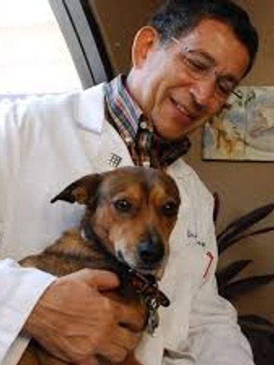 Juan Luis Ferrer, VMD
