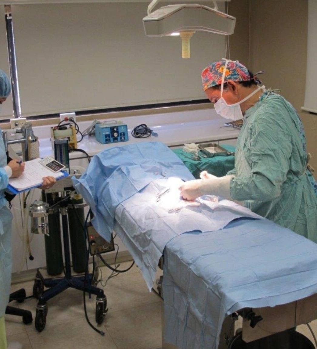 Foto de la galeria original de pacientes 4