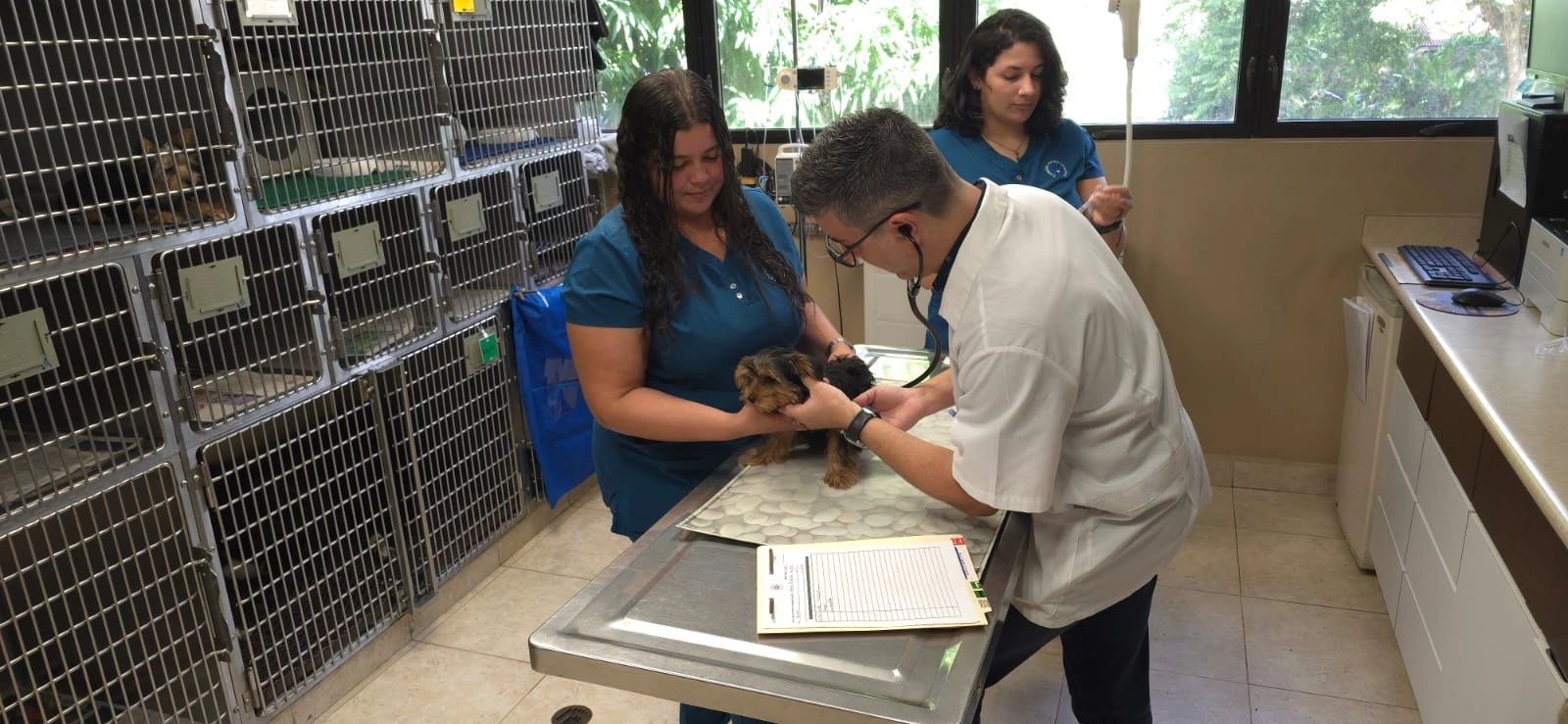Foto de la galeria original de pacientes 7