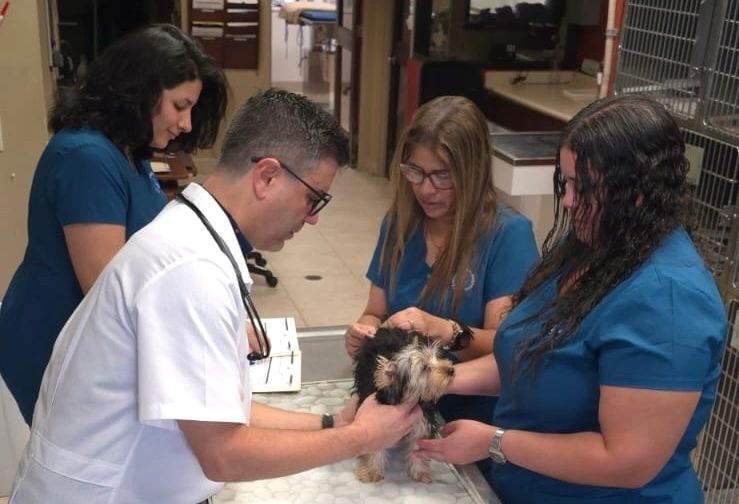 Foto de la galeria original de pacientes 9