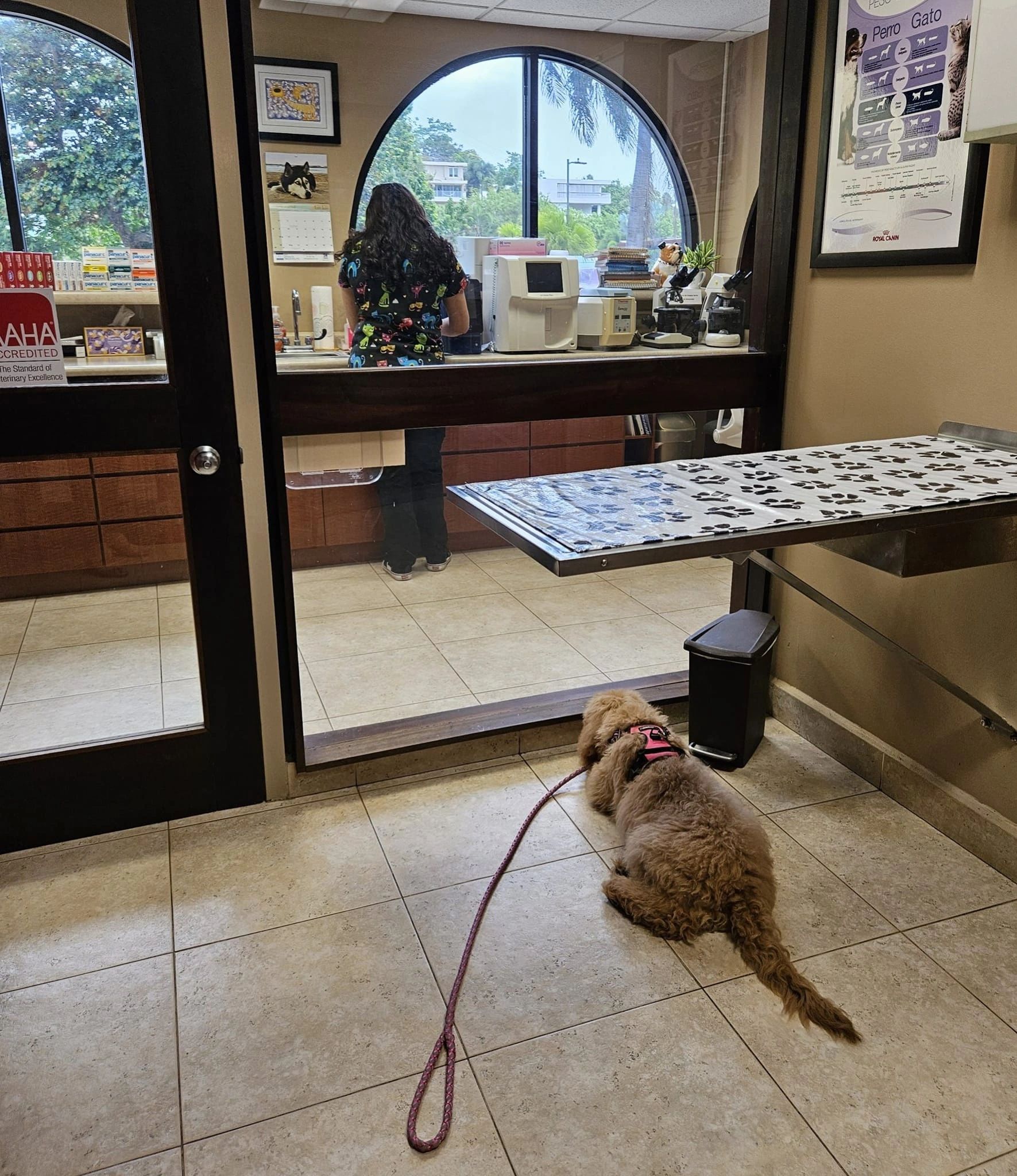 Foto de la galeria original de pacientes 10