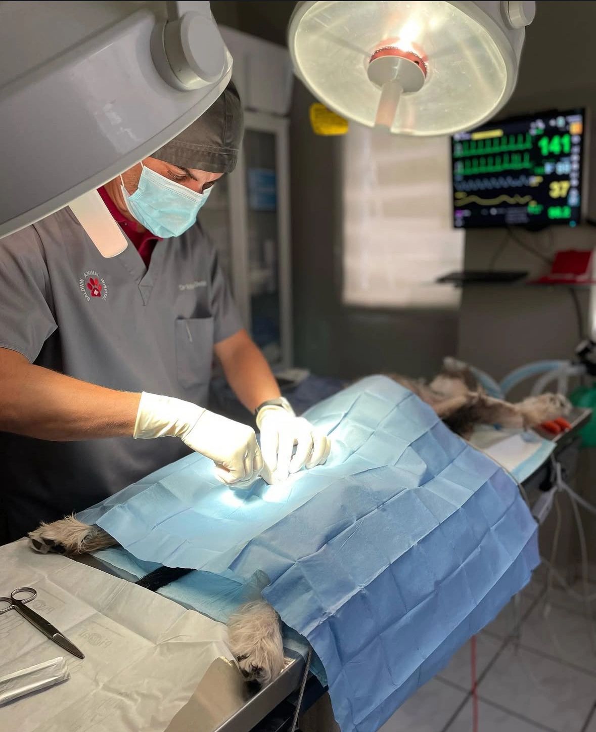 Foto de la galeria original de pacientes 11