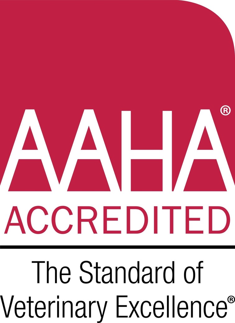 AAHA Accredited: el estándar de excelencia veterinaria.